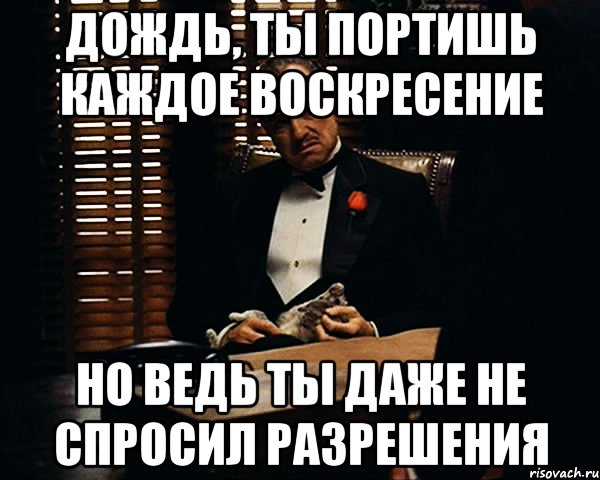 дождь, ты портишь каждое воскресение но ведь ты даже не спросил разрешения, Мем Дон Вито Корлеоне