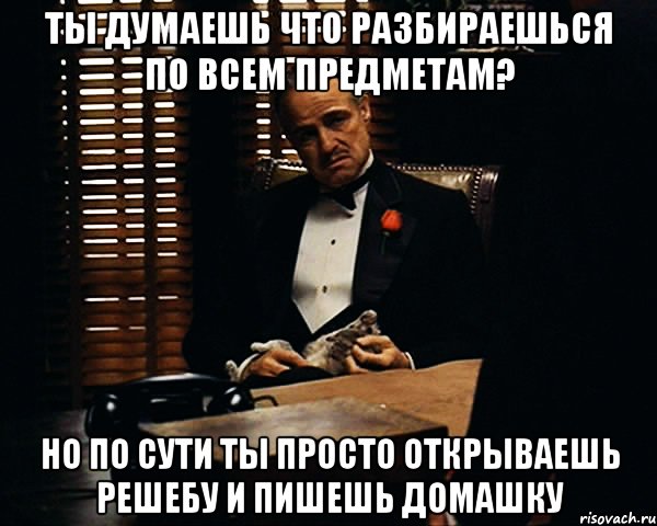 ты думаешь что разбираешься по всем предметам? но по сути ты просто открываешь решебу и пишешь домашку, Мем Дон Вито Корлеоне