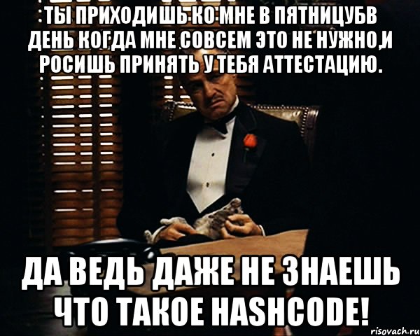 ты приходишь ко мне в пятницубв день когда мне совсем это не нужно,и росишь принять у тебя аттестацию. да ведь даже не знаешь что такое hashcode!, Мем Дон Вито Корлеоне