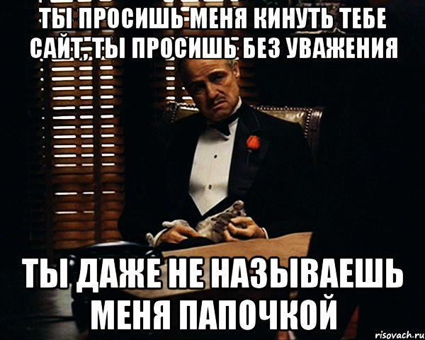 ты просишь меня кинуть тебе сайт, ты просишь без уважения ты даже не называешь меня папочкой, Мем Дон Вито Корлеоне