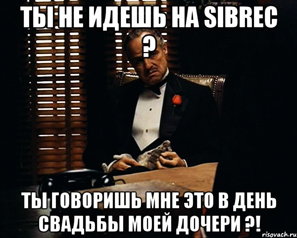 ты не идешь на sibrec ? ты говоришь мне это в день свадьбы моей дочери ?!, Мем Дон Вито Корлеоне