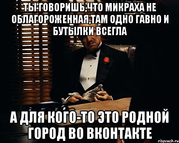 ты говоришь,что микраха не облагороженная,там одно гавно и бутылки всегла а для кого-то это родной город во вконтакте, Мем Дон Вито Корлеоне