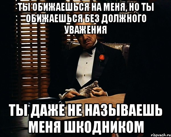 ты обижаешься на меня, но ты обижаешься без должного уважения ты даже не называешь меня шкодником, Мем Дон Вито Корлеоне