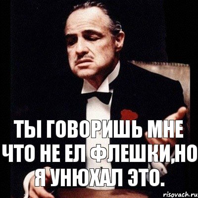 Ты говоришь мне что не ел флешки,но я унюхал это.