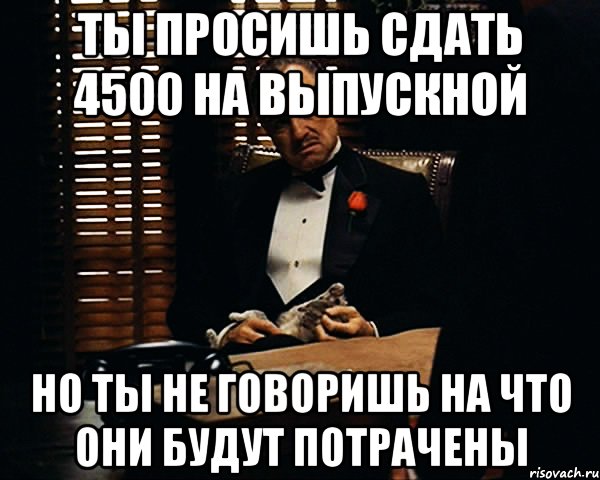 ты просишь сдать 4500 на выпускной но ты не говоришь на что они будут потрачены, Мем Дон Вито Корлеоне