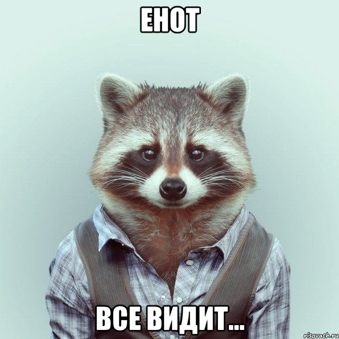 енот все видит...