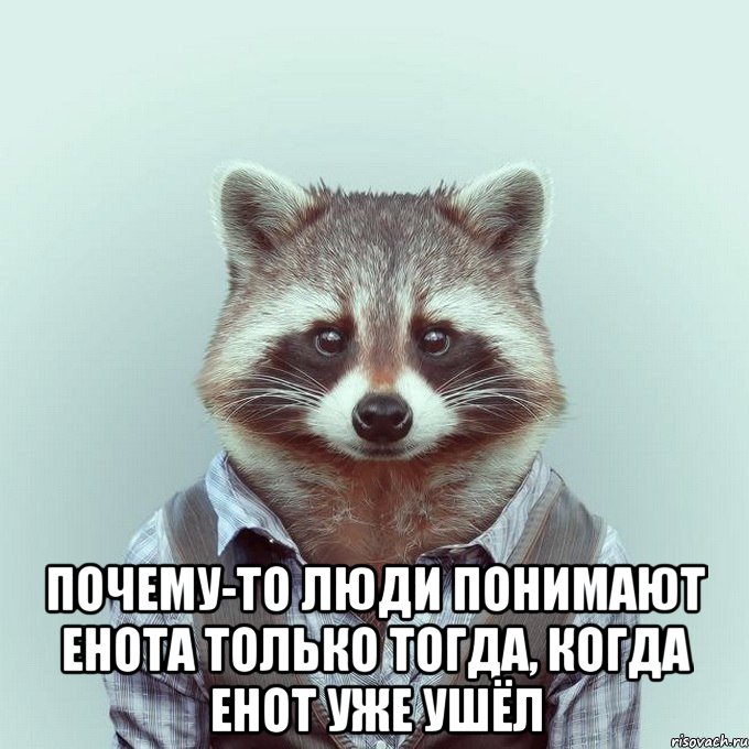  почему-то люди понимают енота только тогда, когда енот уже ушёл, Мем  Енот в рубашке