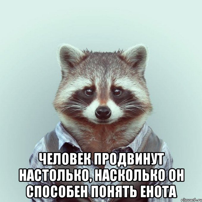  человек продвинут настолько, насколько он способен понять енота, Мем  Енот в рубашке