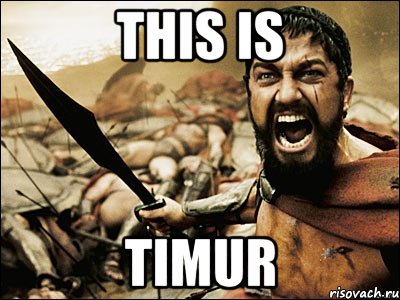 this is timur, Мем Это Спарта