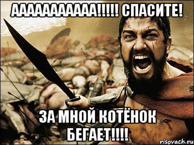 ааааааааааа!!! спасите! за мной котёнок бегает!!!, Мем Это Спарта