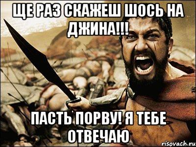 ще раз скажеш шось на джина!!! пасть порву! я тебе отвечаю, Мем Это Спарта