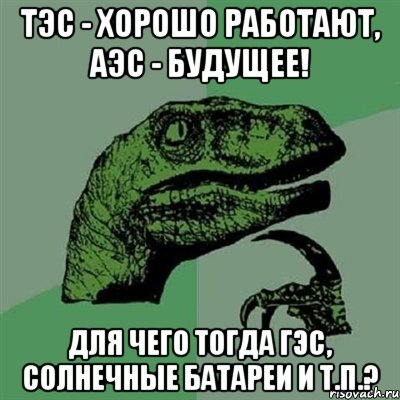 тэс - хорошо работают, аэс - будущее! для чего тогда гэс, солнечные батареи и т.п.?, Мем Филосораптор