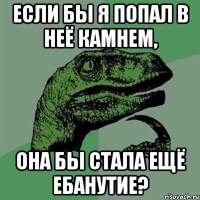 если бы я попал в неё камнем, она бы стала ещё ебанутие?, Мем Филосораптор