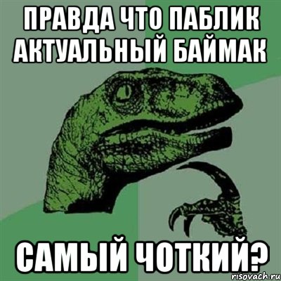 правда что паблик актуальный баймак самый чоткий?, Мем Филосораптор