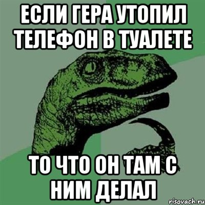 если гера утопил телефон в туалете то что он там с ним делал, Мем Филосораптор