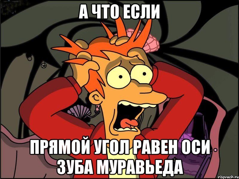 а что если прямой угол равен оси зуба муравьеда, Мем Фрай в панике