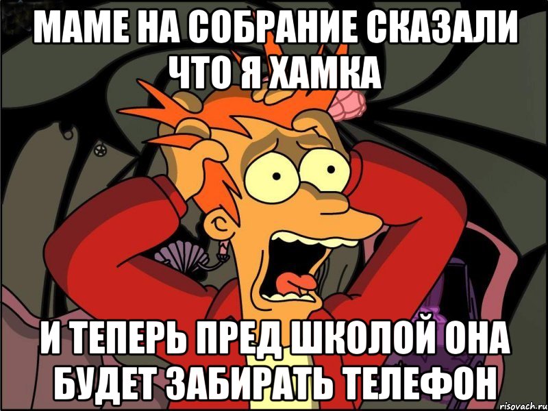 маме на собрание сказали что я хамка и теперь пред школой она будет забирать телефон, Мем Фрай в панике