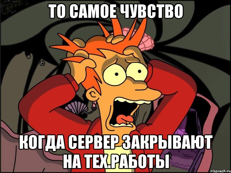 то самое чувство когда сервер закрывают на тех.работы, Мем Фрай в панике