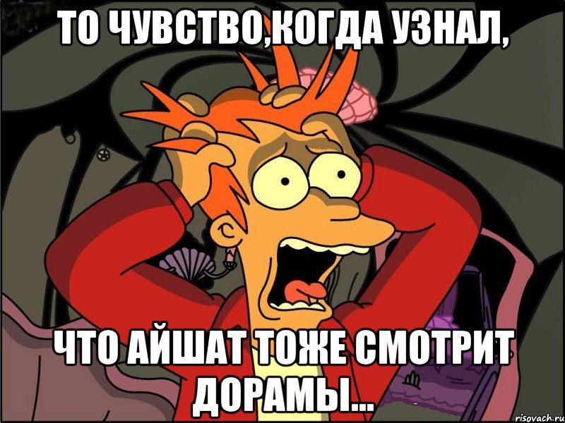 то чувство,когда узнал, что айшат тоже смотрит дорамы..., Мем Фрай в панике