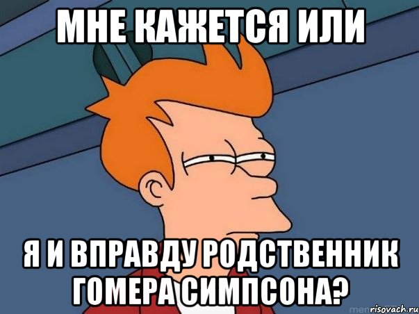 мне кажется или я и вправду родственник гомера симпсона?, Мем  Фрай (мне кажется или)