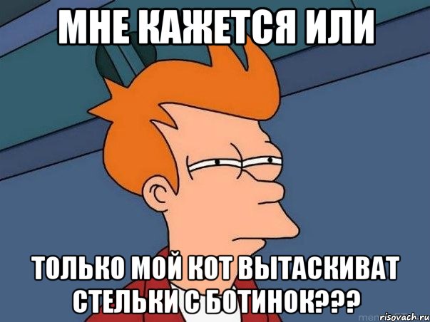 мне кажется или только мой кот вытаскиват стельки с ботинок???, Мем  Фрай (мне кажется или)