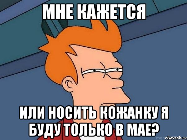 мне кажется или носить кожанку я буду только в мае?, Мем  Фрай (мне кажется или)