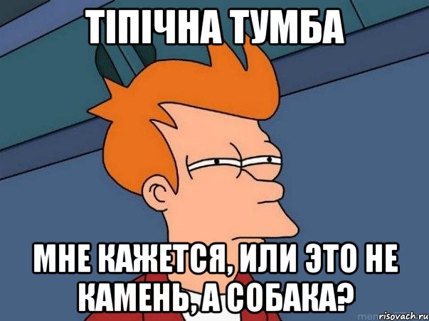 тіпічна тумба мне кажется, или это не камень, а собака?, Мем  Фрай (мне кажется или)