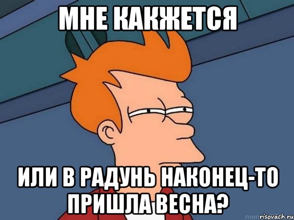 мне какжется или в радунь наконец-то пришла весна?, Мем  Фрай (мне кажется или)