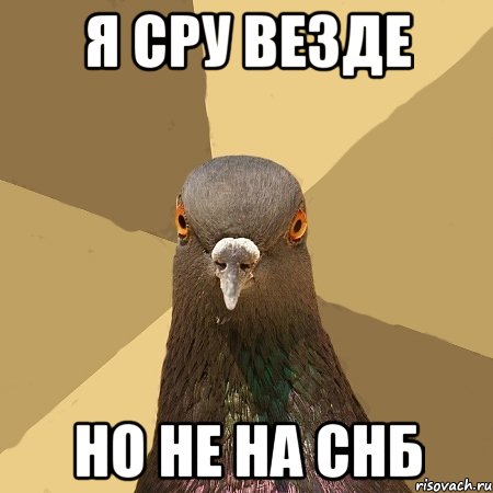 я сру везде но не на снб