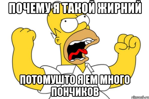 почему я такой жирний потомушто я ем много пончиков, Мем Разъяренный Гомер