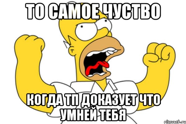 то самое чуство когда тп доказует что умней тебя, Мем Разъяренный Гомер