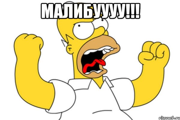 малибуууу!!! , Мем Разъяренный Гомер