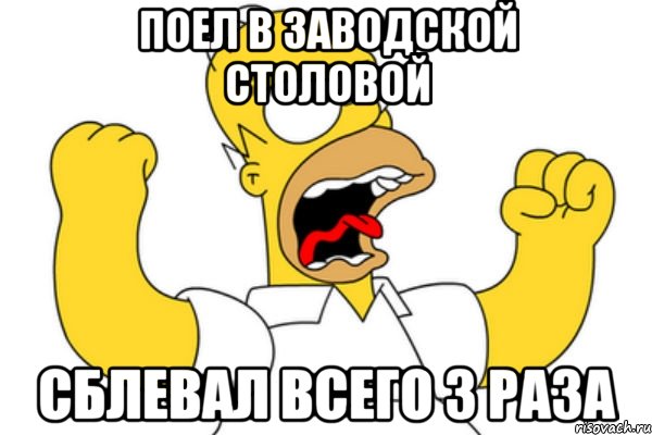 поел в заводской столовой сблевал всего 3 раза, Мем Разъяренный Гомер