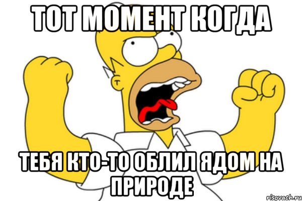 тот момент когда тебя кто-то облил ядом на природе, Мем Разъяренный Гомер