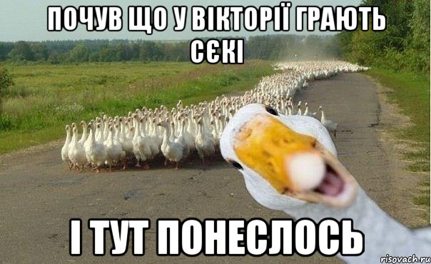 почув що у вікторії грають сєкі і тут понеслось, Мем гуси