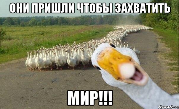 они пришли чтобы захватить мир!!!