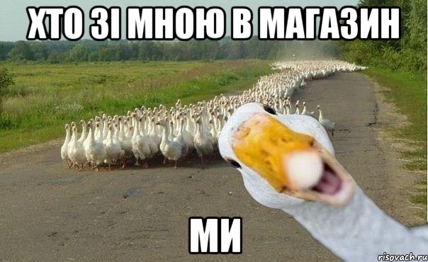 хто зі мною в магазин ми