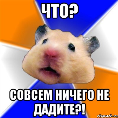 что? совсем ничего не дадите?!, Мем Хомяк