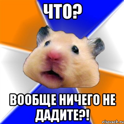 что? вообще ничего не дадите?!, Мем Хомяк