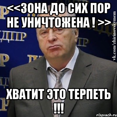 <<зона до сих пор не уничтожена ! >> хватит это терпеть !!!, Мем Хватит это терпеть (Жириновский)