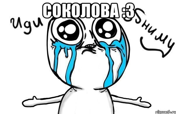 соколова :3 , Мем Иди обниму