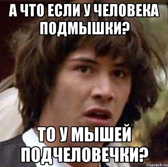 а что если у человека подмышки? то у мышей подчеловечки?, Мем А что если (Киану Ривз)