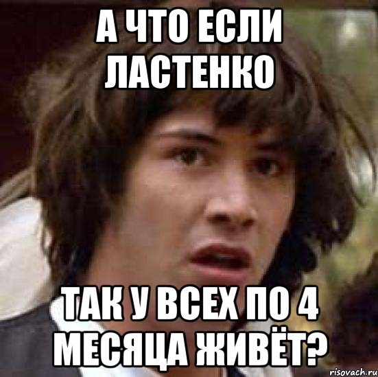 а что если ластенко так у всех по 4 месяца живёт?, Мем А что если (Киану Ривз)