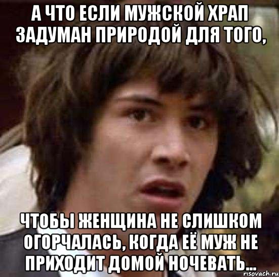 а что если мужской храп задуман природой для того, чтобы женщина не слишком огорчалась, когда её муж не приходит домой ночевать..., Мем А что если (Киану Ривз)