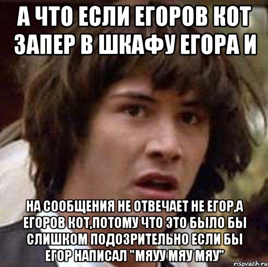 а что если егоров кот запер в шкафу егора и на сообщения не отвечает не егор,а егоров кот,потому что это было бы слишком подозрительно если бы егор написал "мяуу мяу мяу", Мем А что если (Киану Ривз)