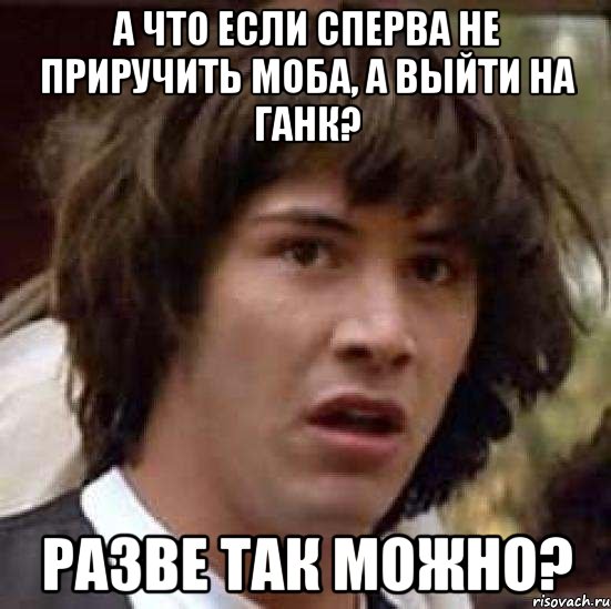 а что если сперва не приручить моба, а выйти на ганк? разве так можно?, Мем А что если (Киану Ривз)