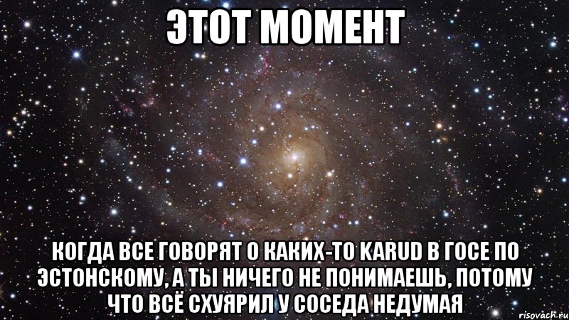 этот момент когда все говорят о каких-то karud в госе по эстонскому, а ты ничего не понимаешь, потому что всё схуярил у соседа недумая, Мем  Космос (офигенно)