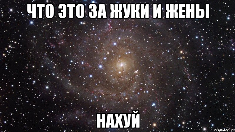 что это за жуки и жены нахуй, Мем  Космос (офигенно)