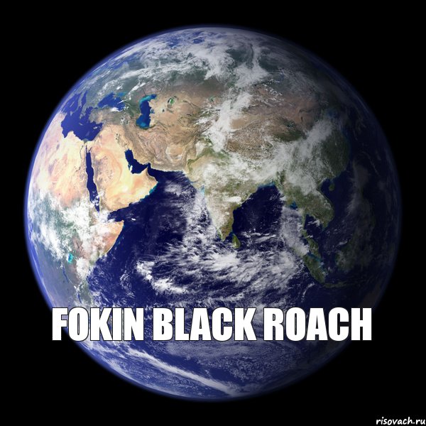 Fokin Black Roach , Комикс  Планета Земля