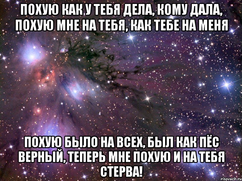 похую как у тебя дела, кому дала, похую мне на тебя, как тебе на меня похую было на всех, был как пёс верный, теперь мне похую и на тебя стерва!, Мем Космос